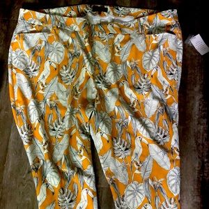 Eloquii Kady Fit Pants